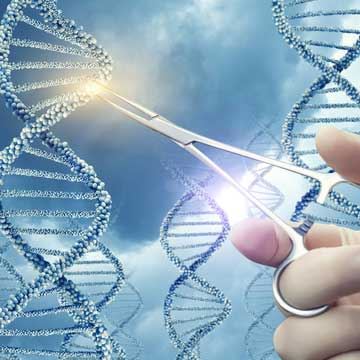 Defining Precision Medicine: The Last Mile In Genomics - Cover