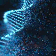 The Ever-Increasing Speed of Genomics