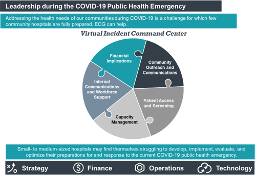 ecg management consulting public health emergency leadership